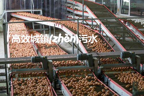 “高效城鎮(zhèn)污水處理流程，守護碧水藍天新篇章”
